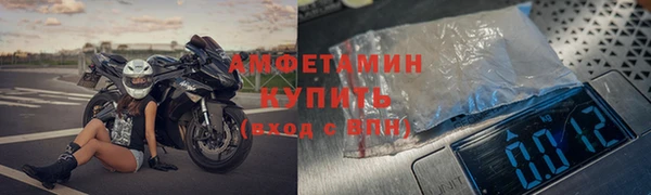 амф Дмитров