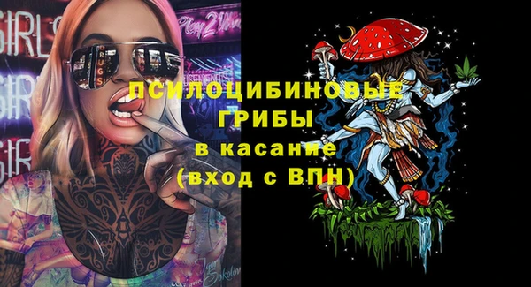 индика Елабуга