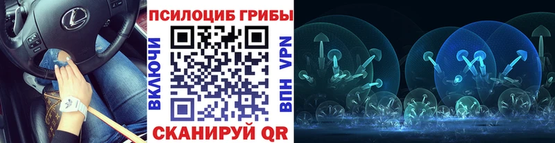 Псилоцибиновые грибы мухоморы  Купить где  Большой Камень 