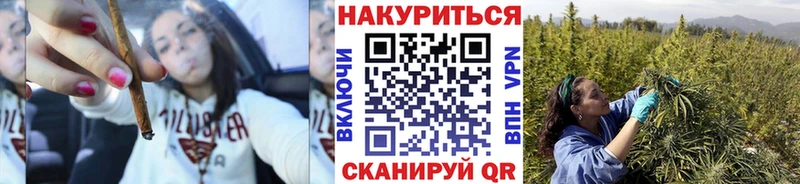 Шишки марихуана Amnesia Большой Камень